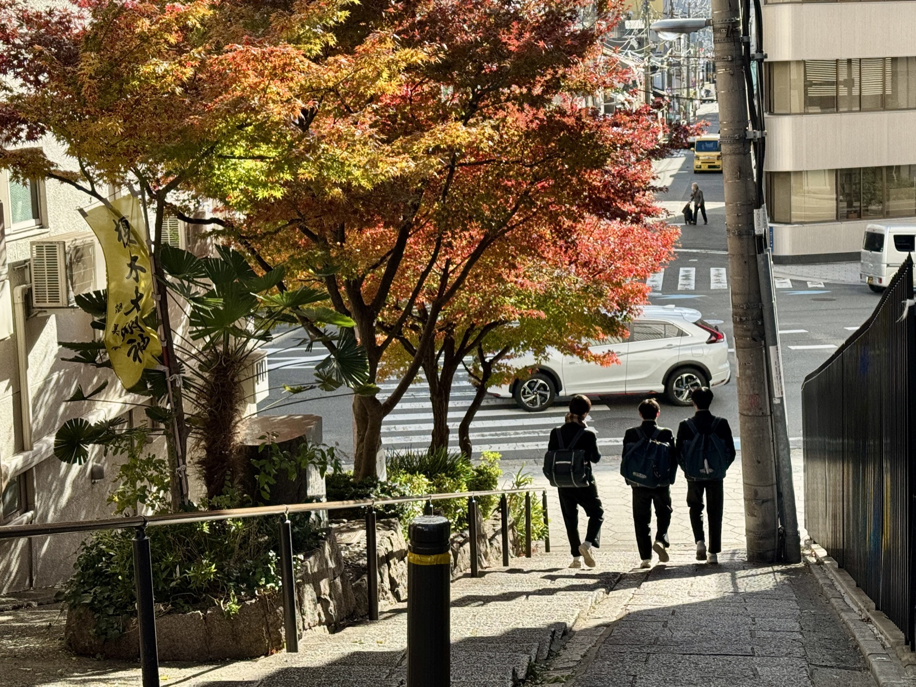 街路植栽と歩行者動線
