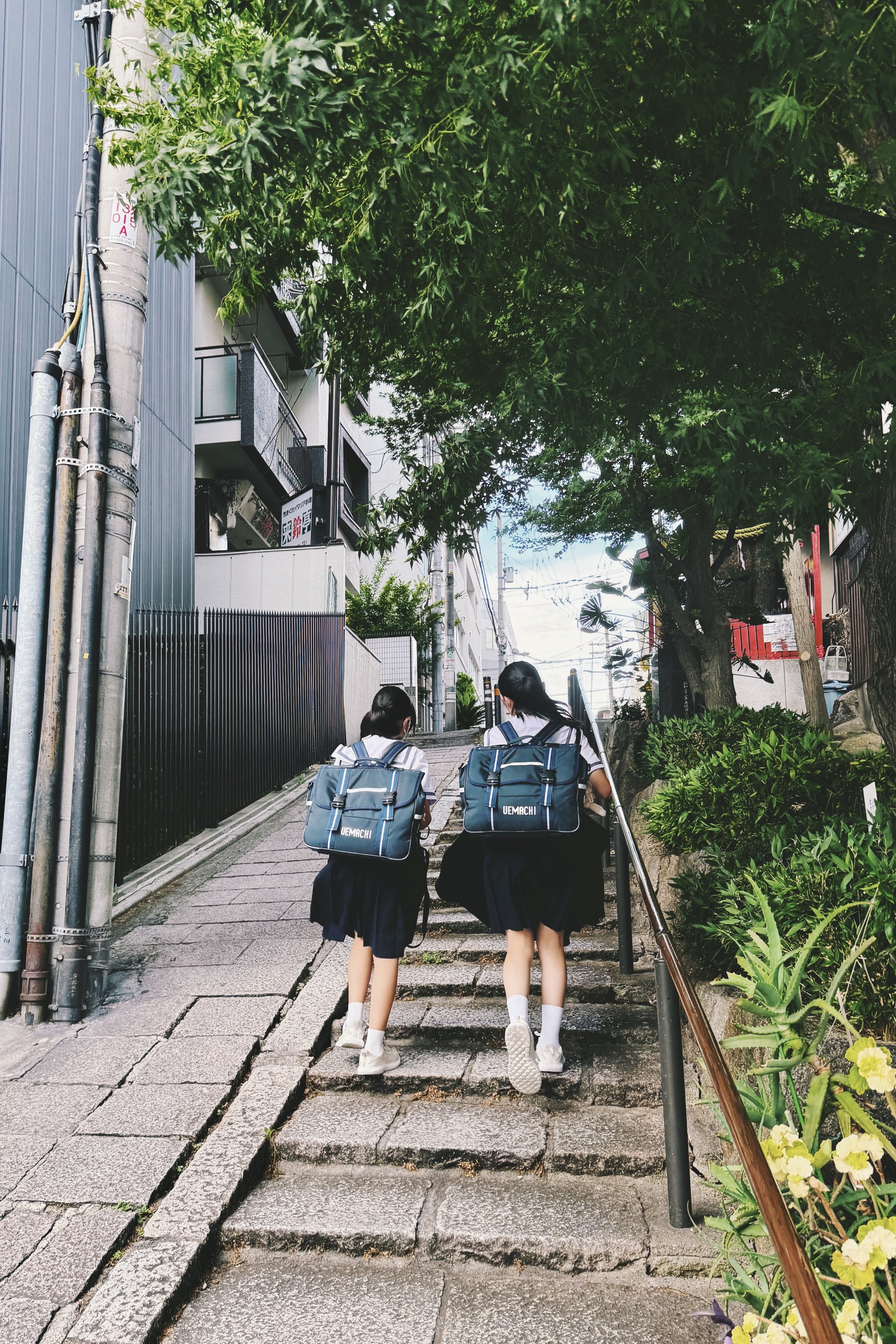 季節による植物の表情