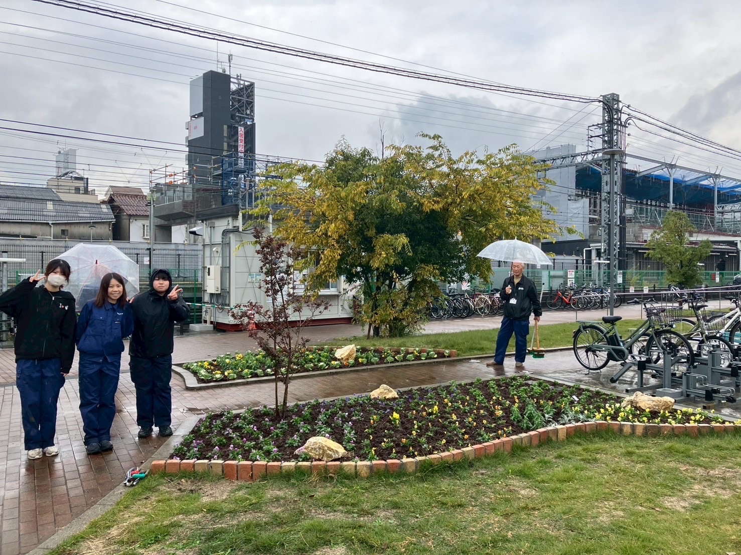 作業直後の花壇