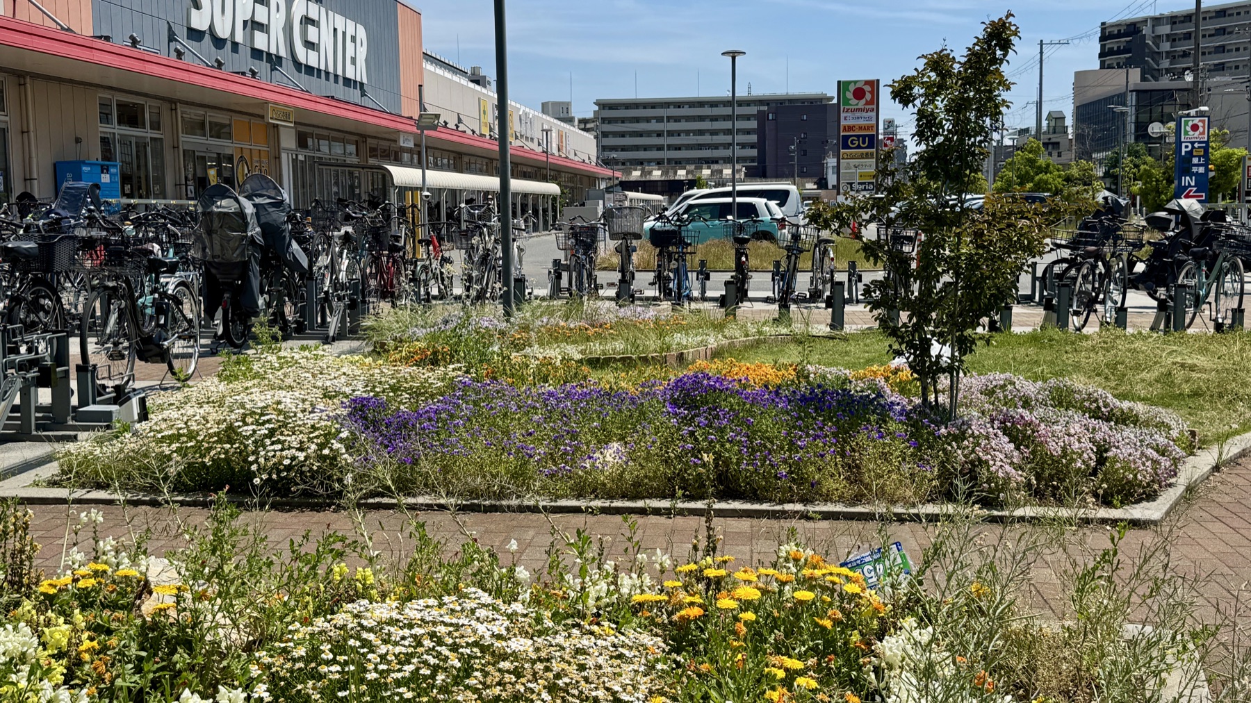 施工から約半年後の花壇