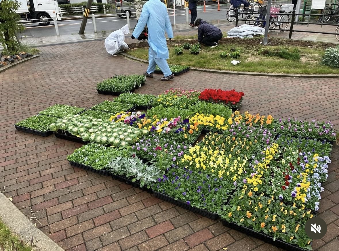 植栽作業の様子