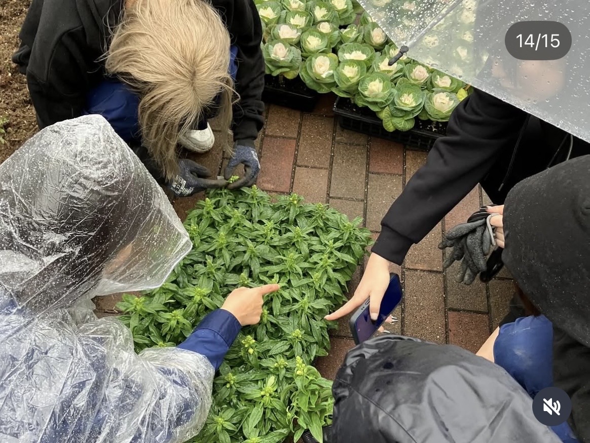 植栽作業の様子