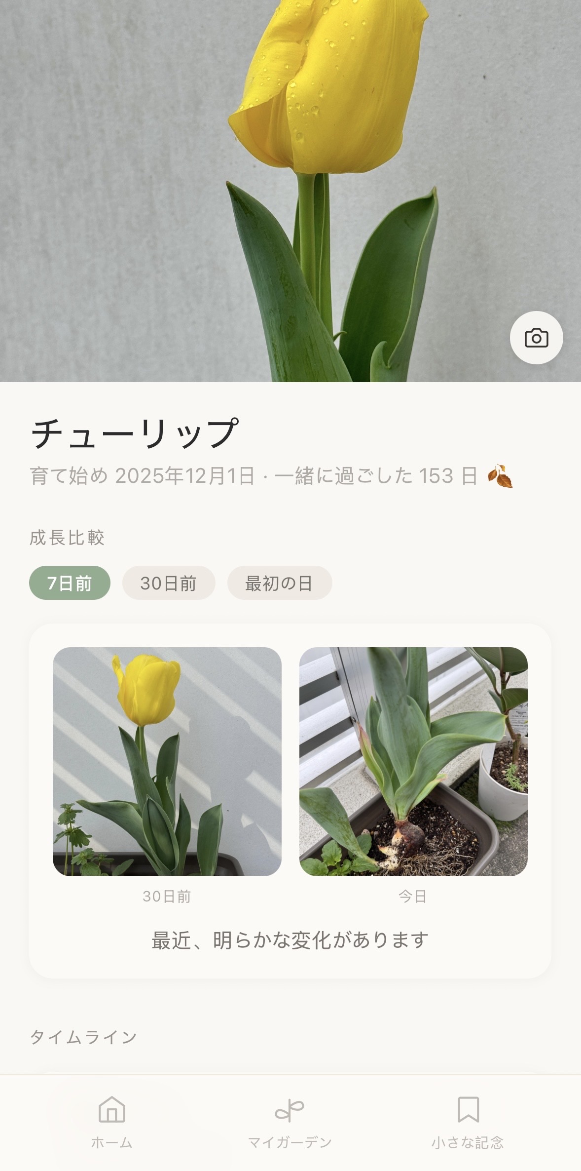 Verdant ホーム画面