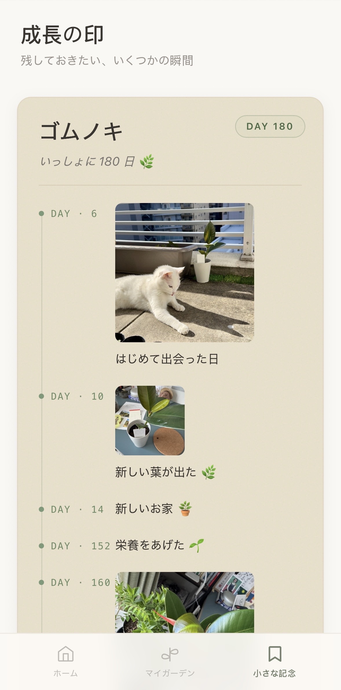 振り返る画面